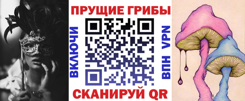Псилоцибиновые грибы Psilocybine cubensis Георгиевск