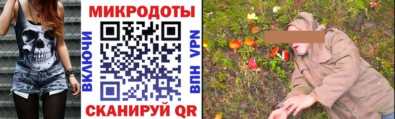 Галлюциногенные грибы мухоморы Георгиевск